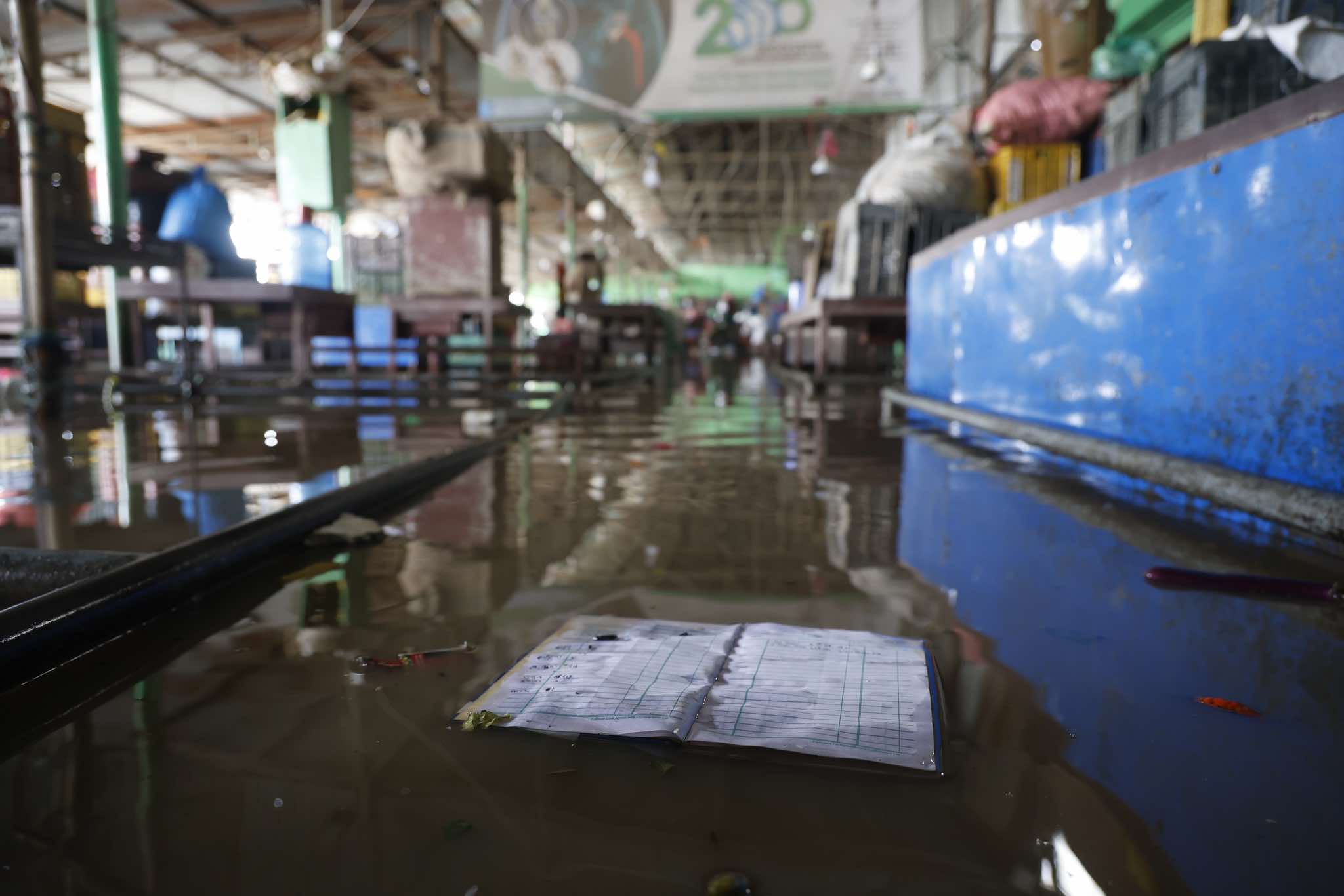 Kathmandu vally flooding