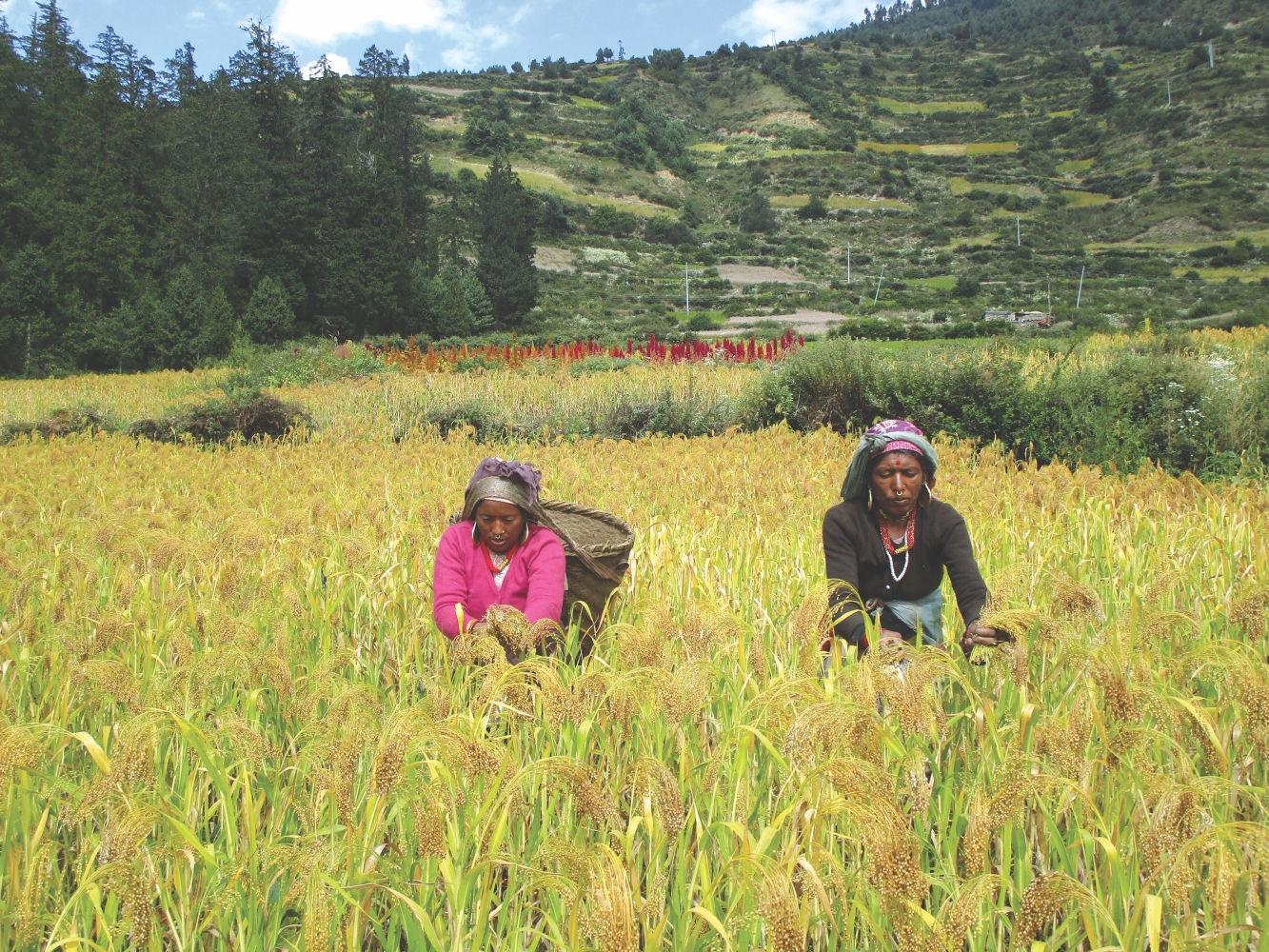 Helping farmers who help themselves NT