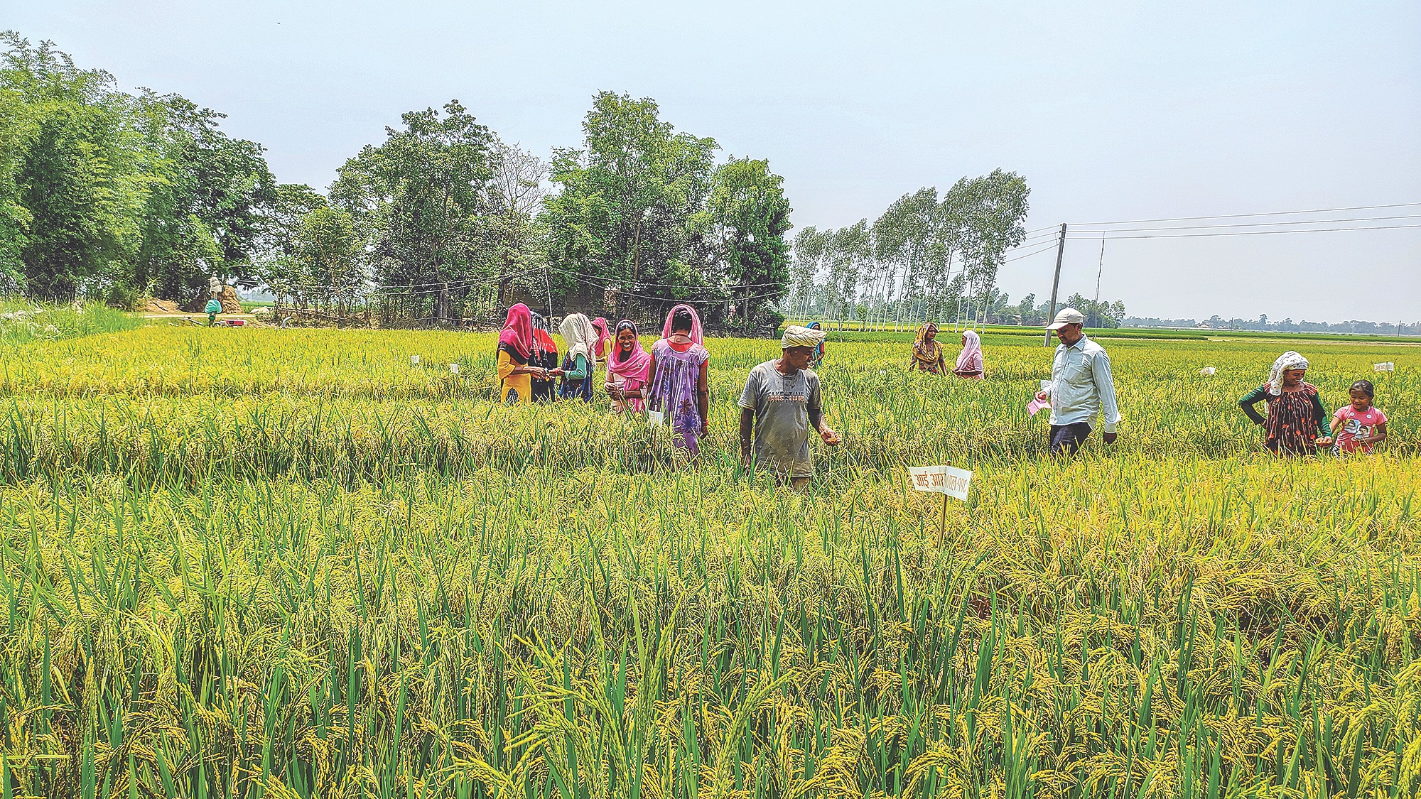 Helping farmers who help themselves NT