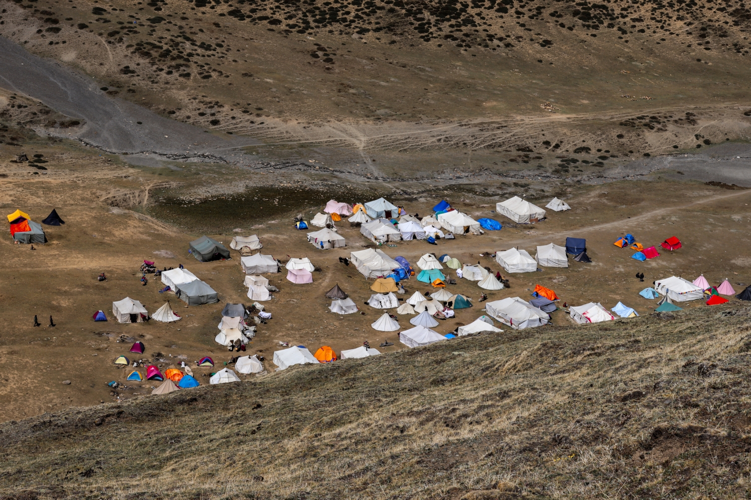 The human cost of Nepal’s yarsa gold rush NT