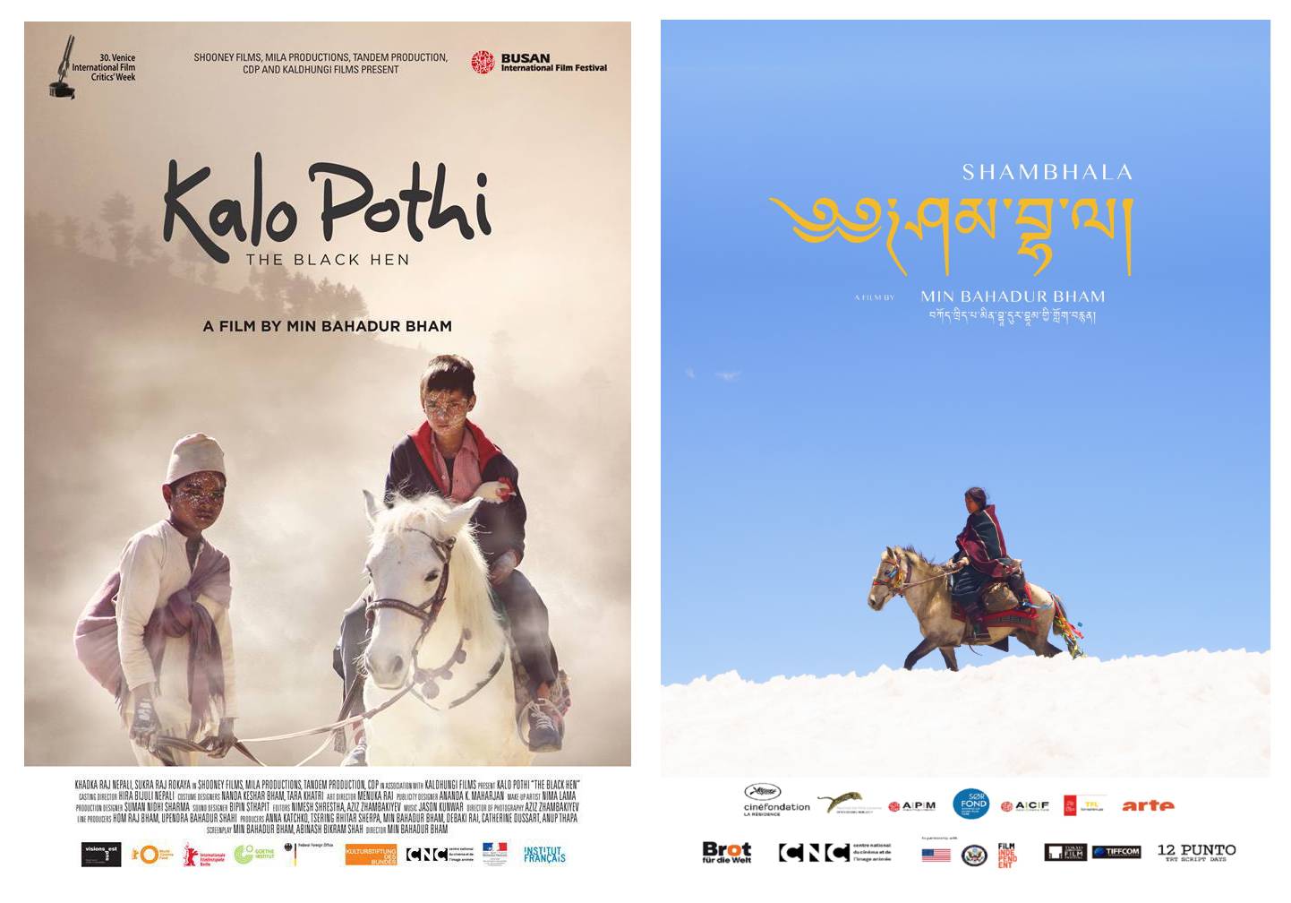 Movie posters NT