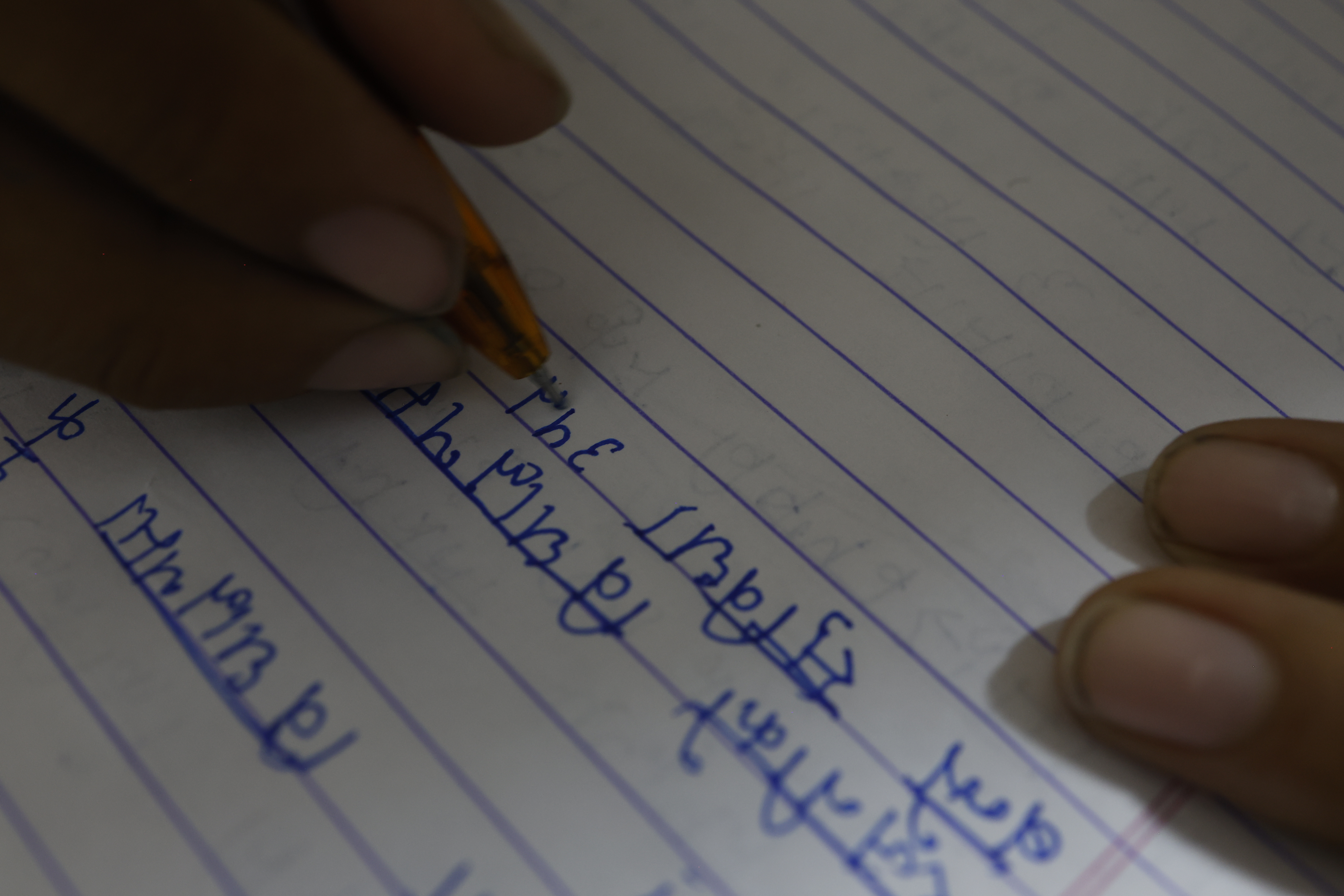 Japan-born Nepali children NT 