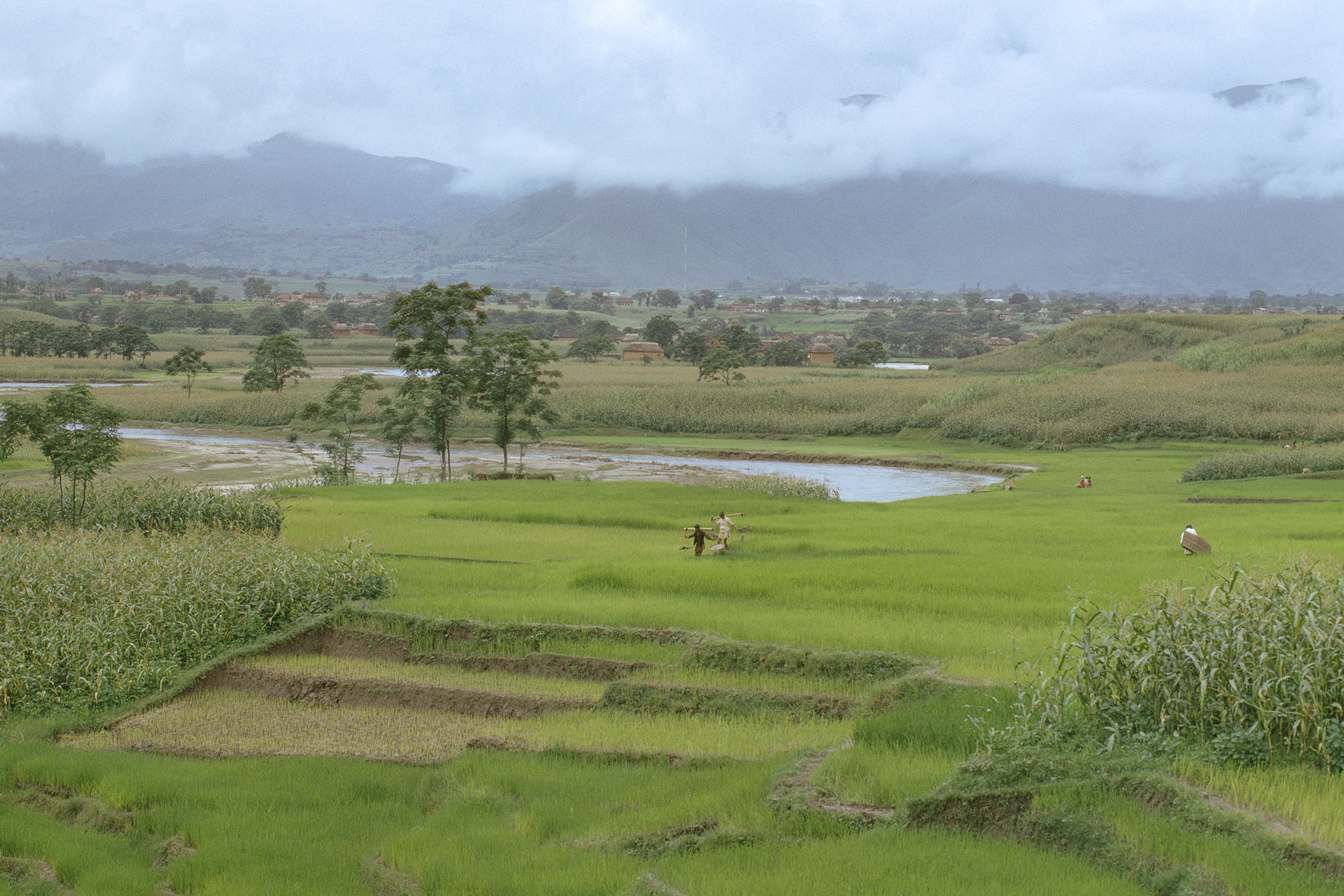 An Anthropologist's Early Glimpses of Nepal NT