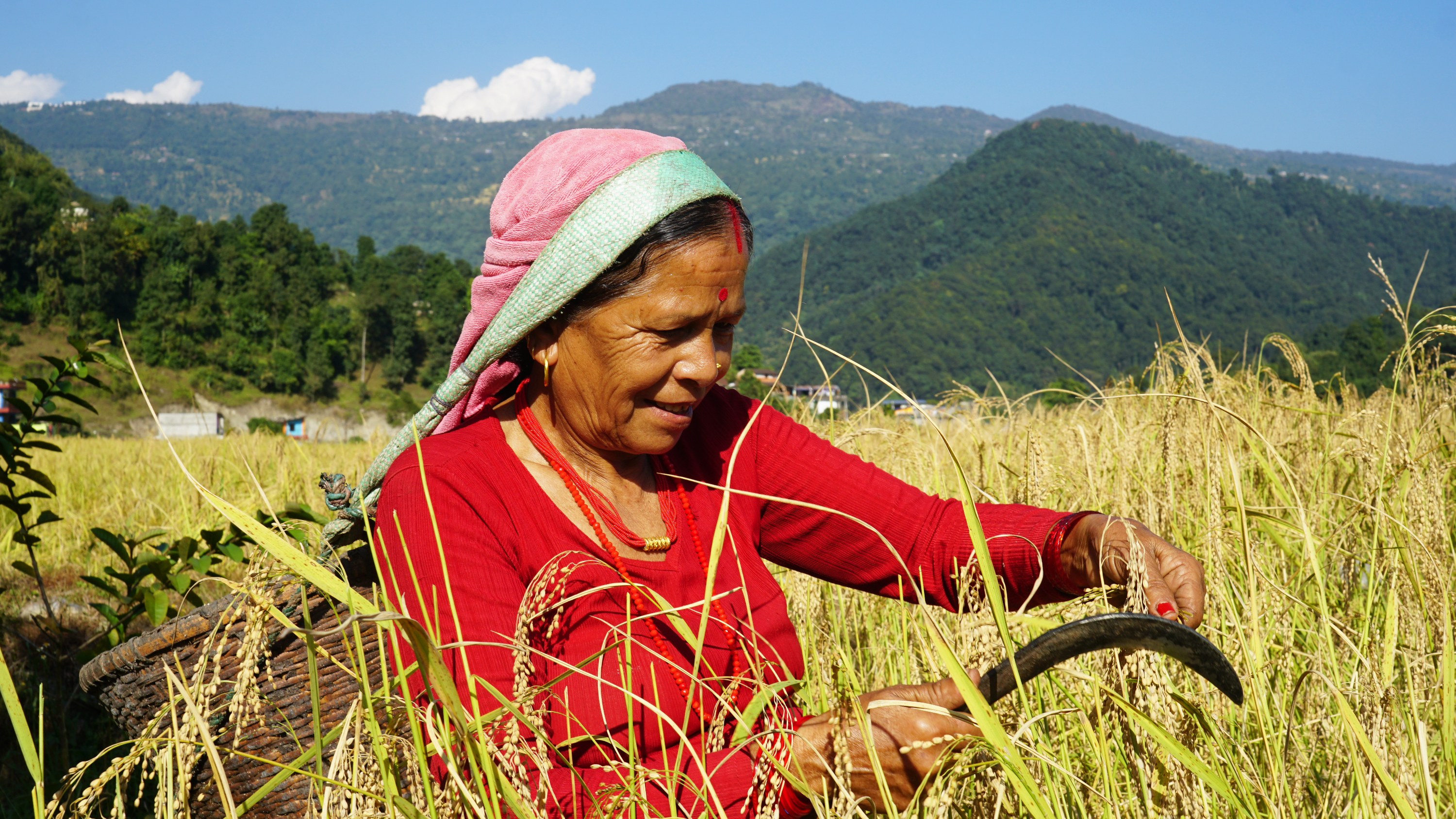 Gandaki Province prosperity NT