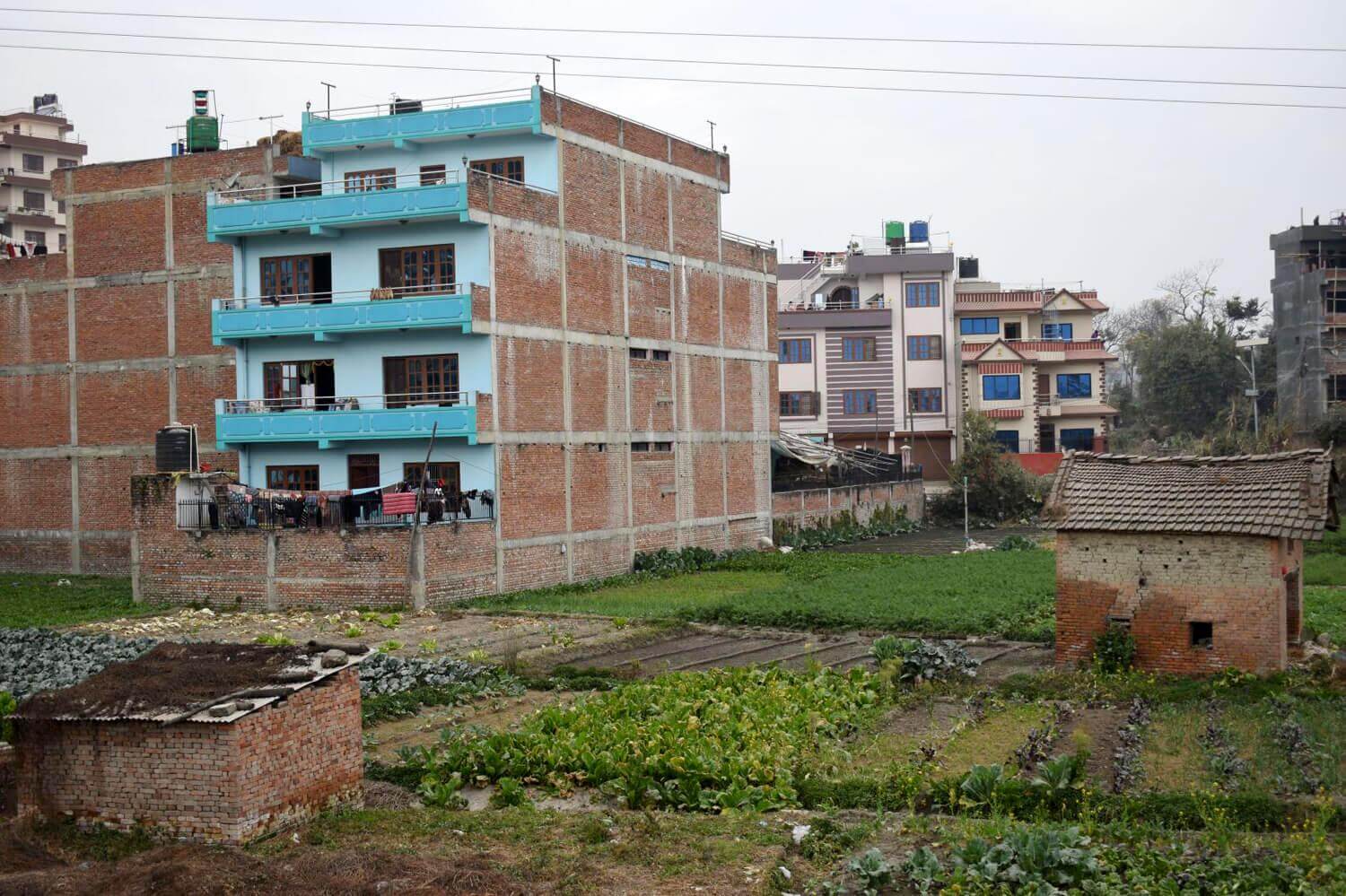 urban agriculture in Kathmandu