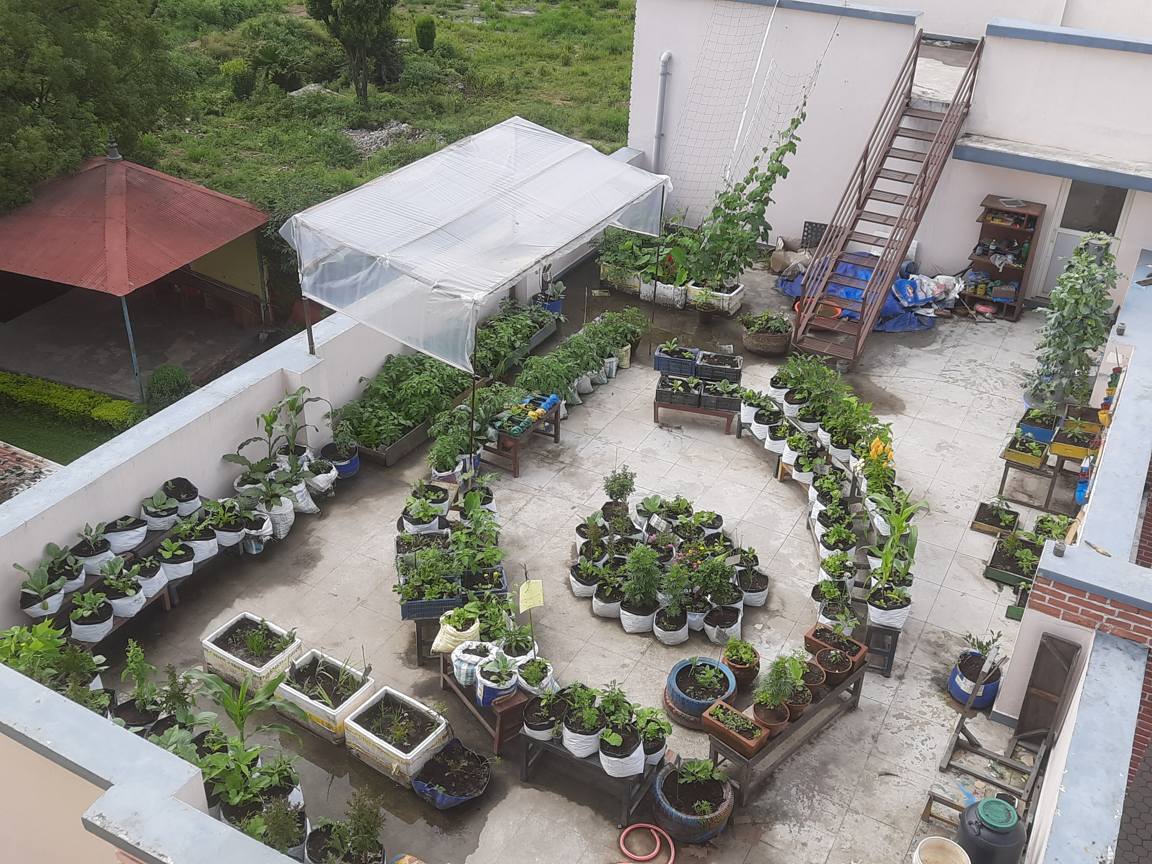 urban agriculture in Kathmandu