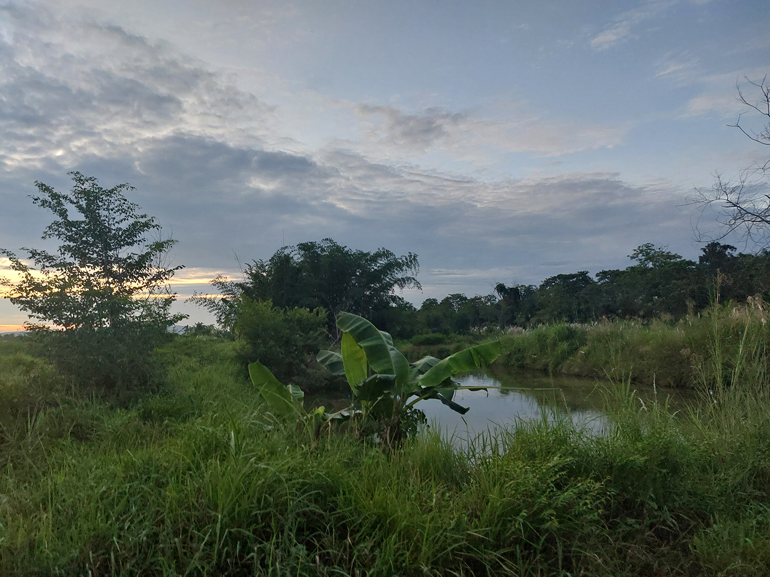 wildlife and human coexistence