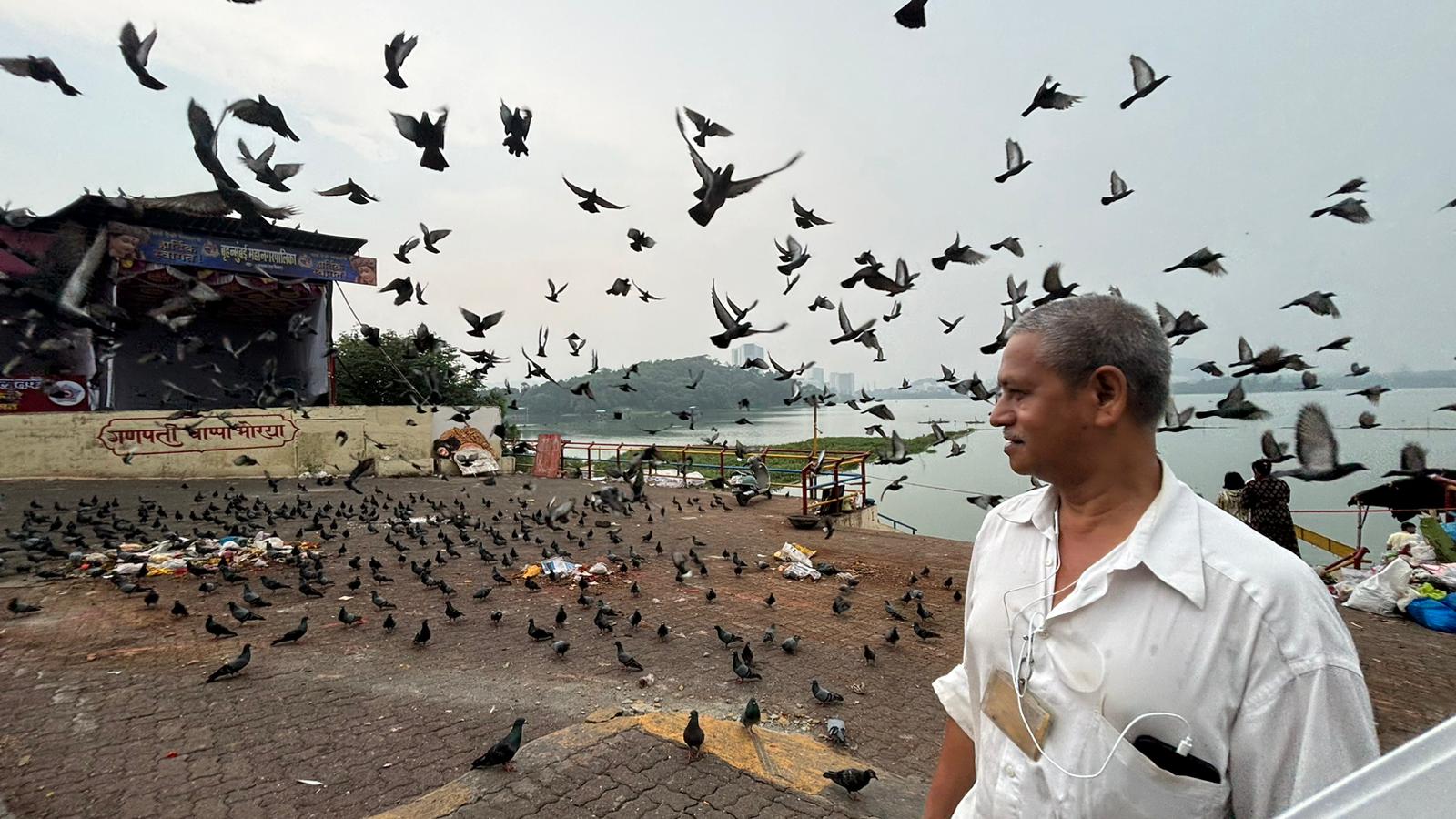 Diaspora Diaries 51 NT