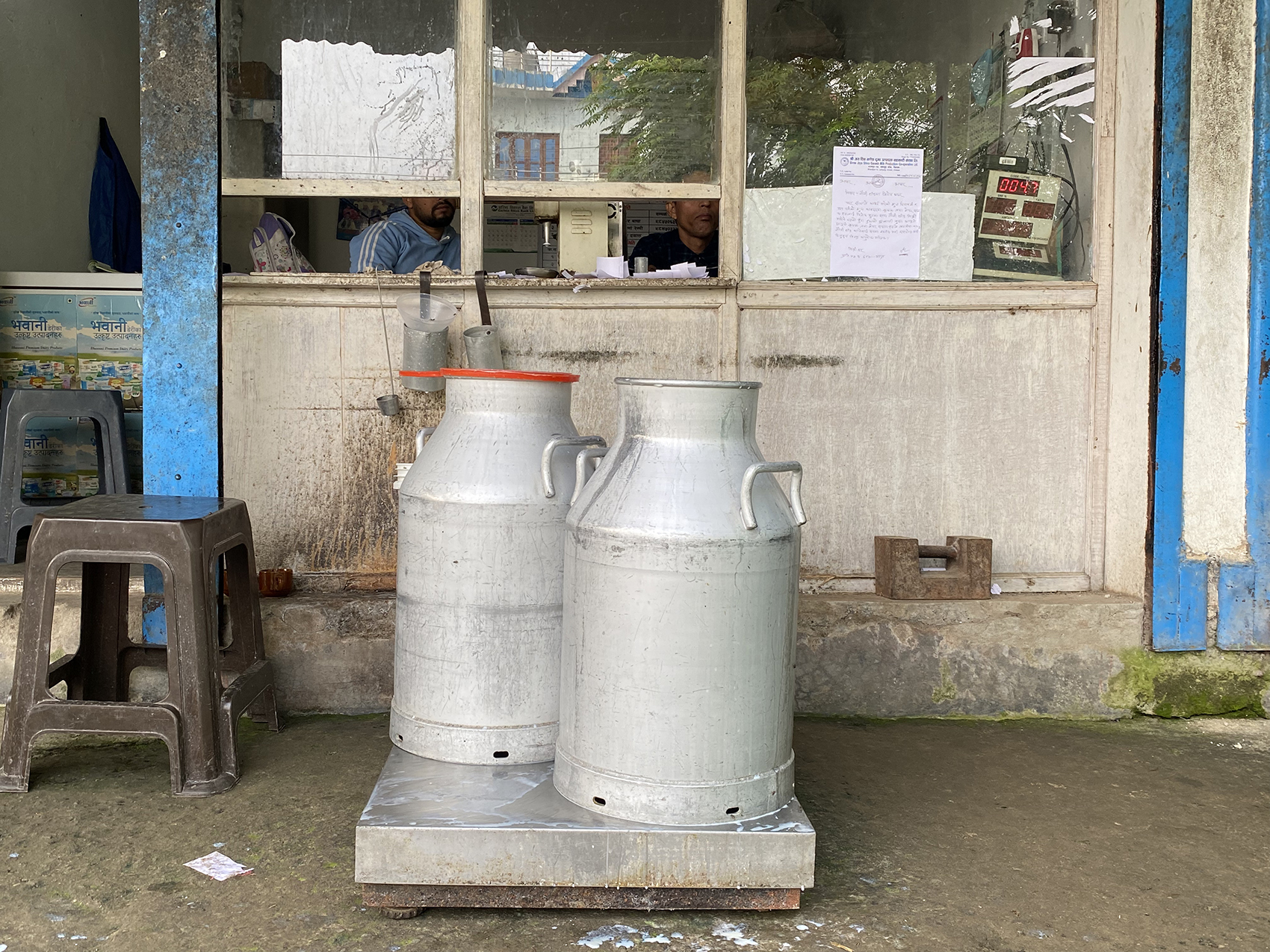 dairy farmers in Chitwan