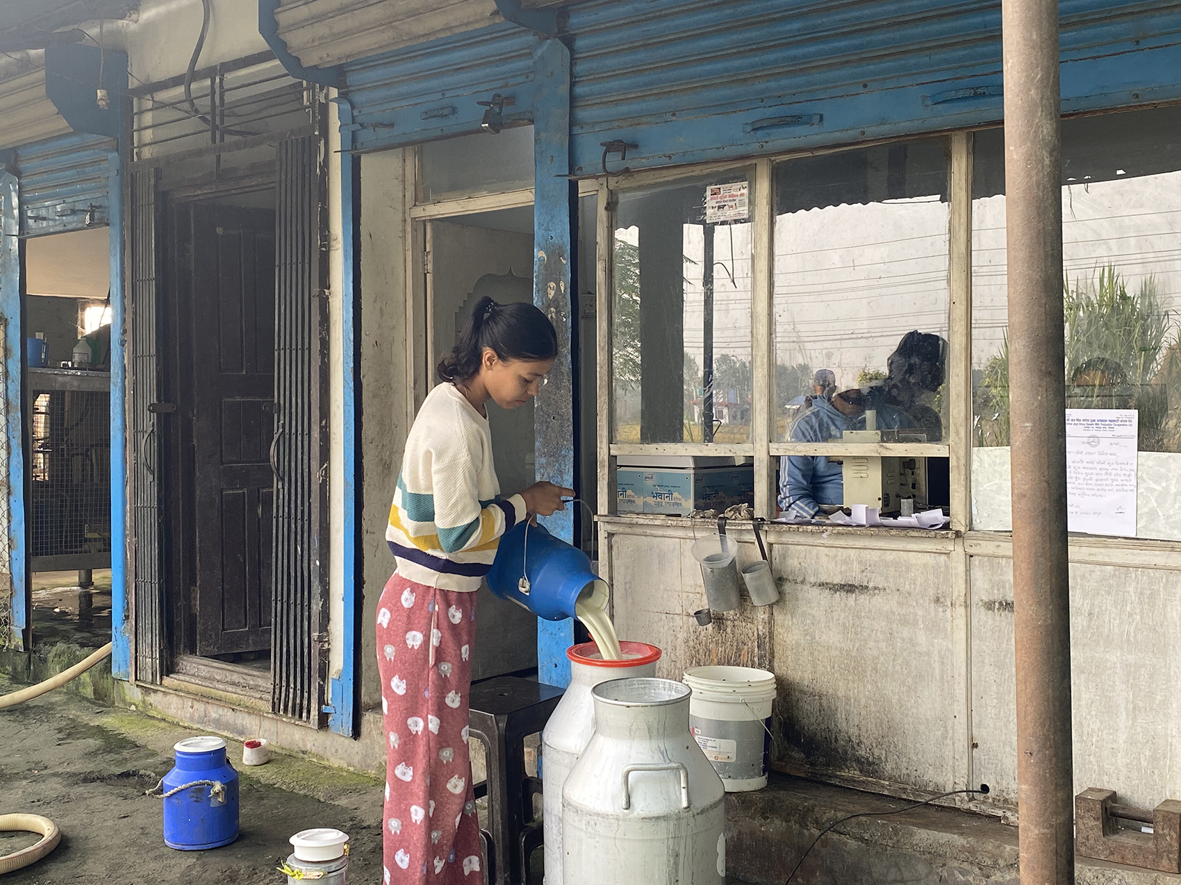 dairy farmers in Chitwan