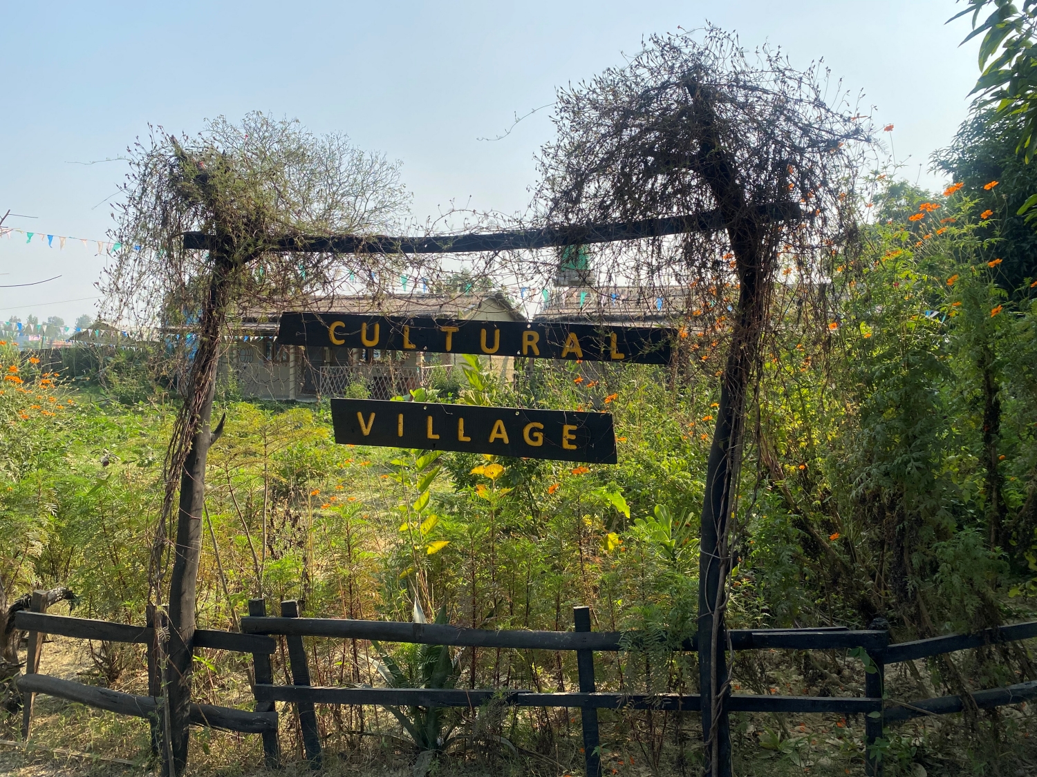 The Mithila Dream