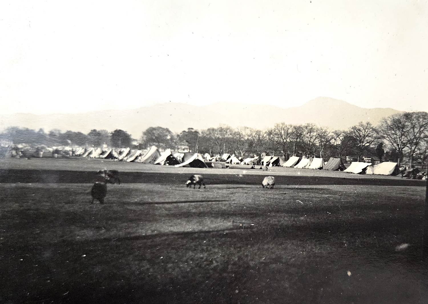 Tents