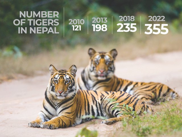 No. of tigers