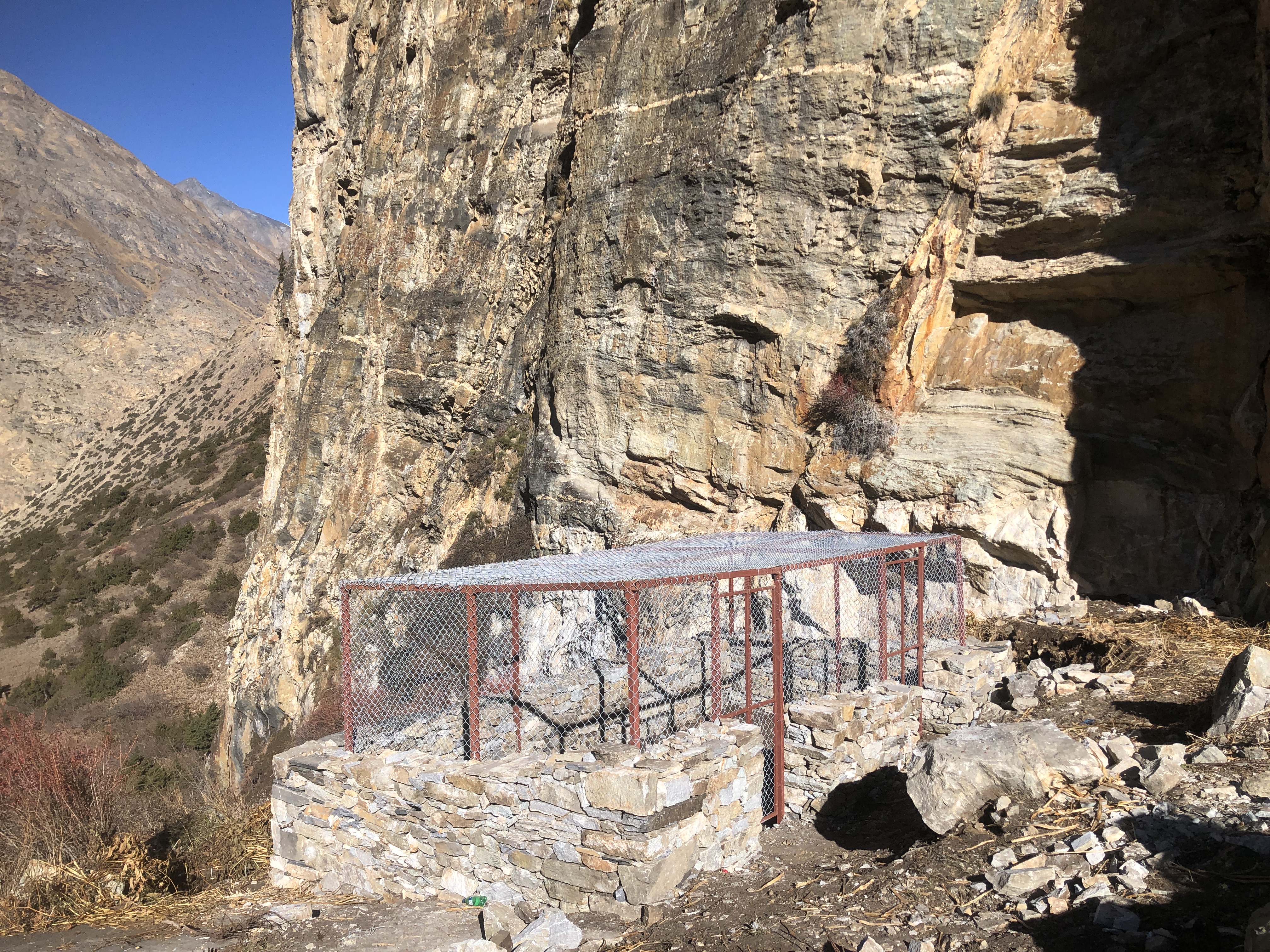 snow leopards in Nepal NT 1