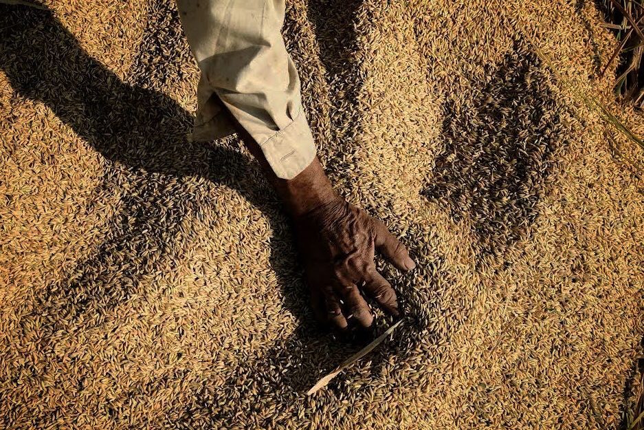 Farm subsidies: money down the drain NT