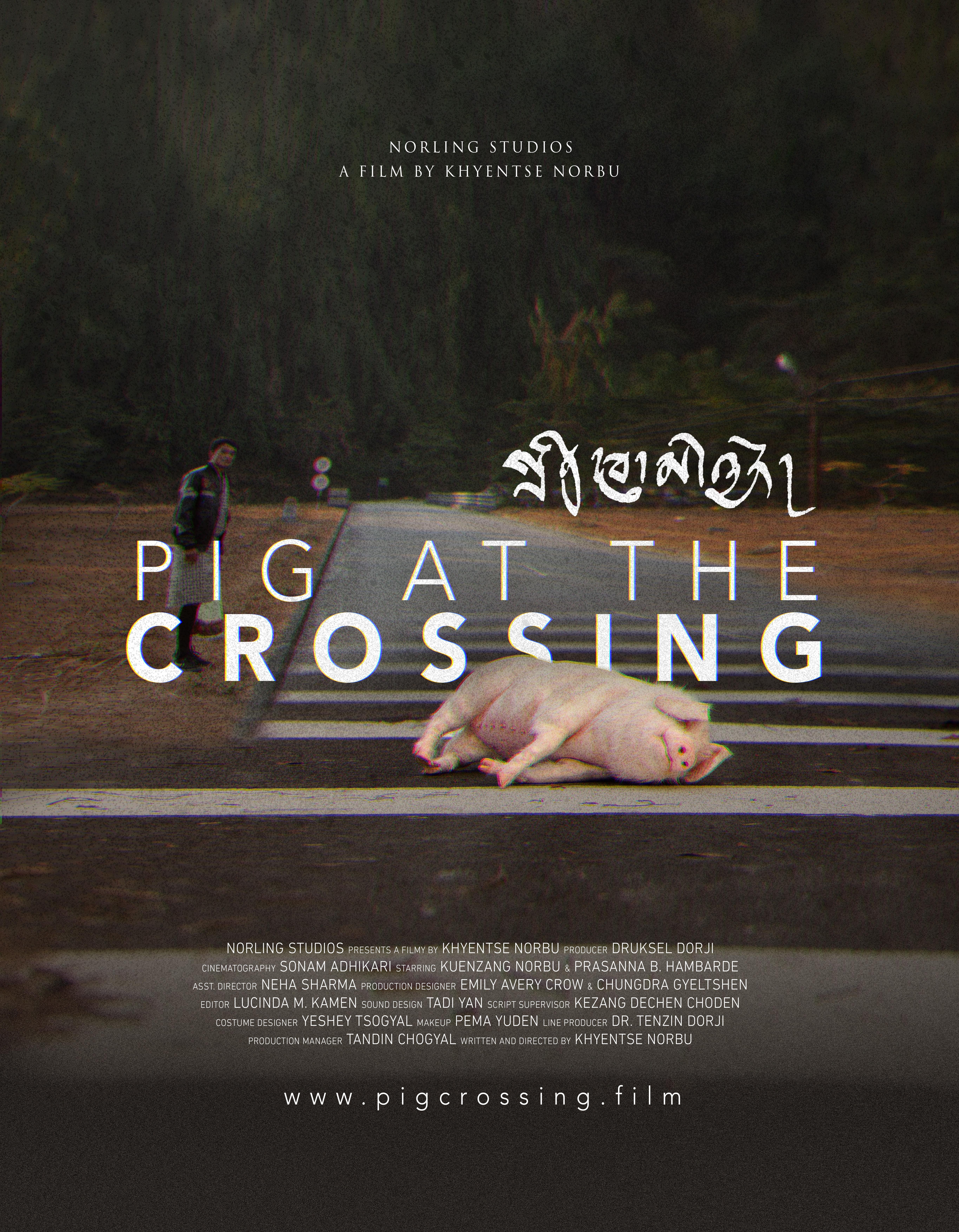 Pigs at Crossing