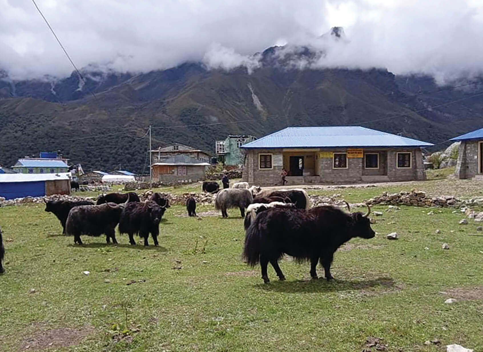 Langtang Valley