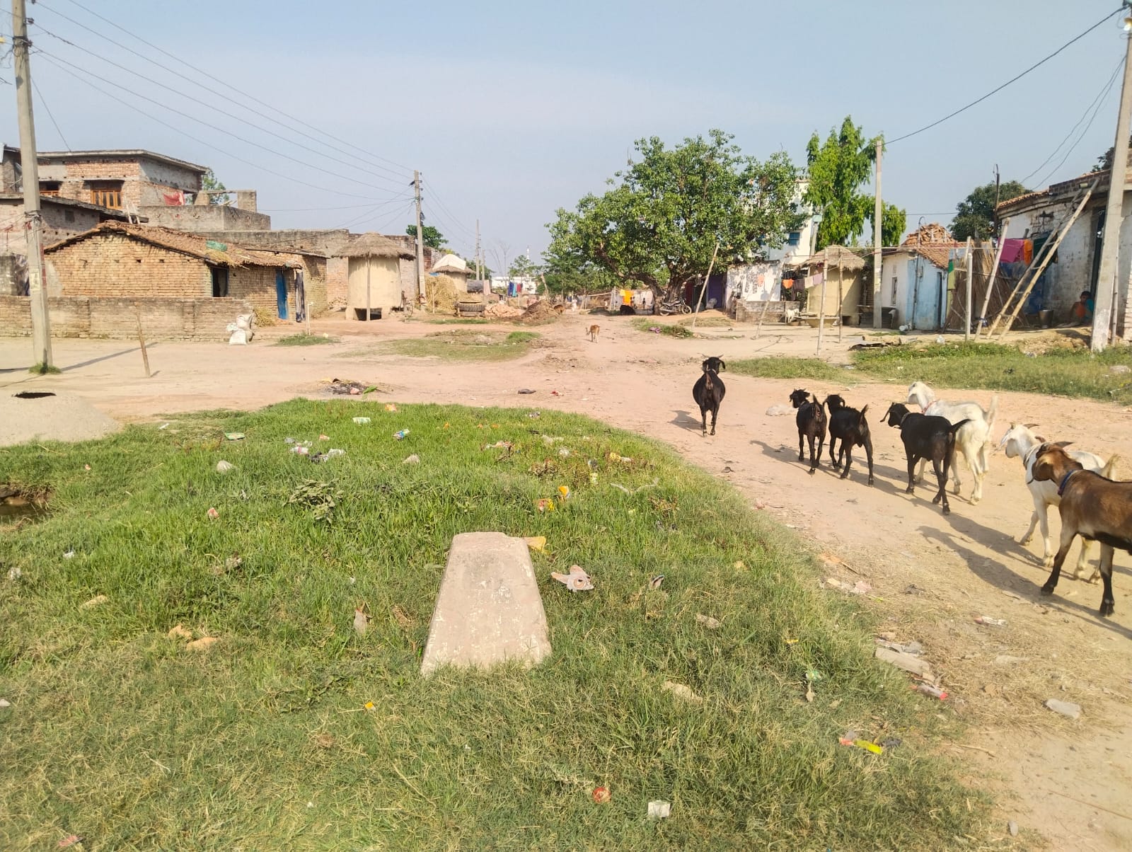 No man's land NT