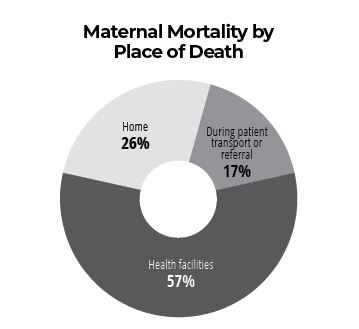 Maternal health pie chart NT