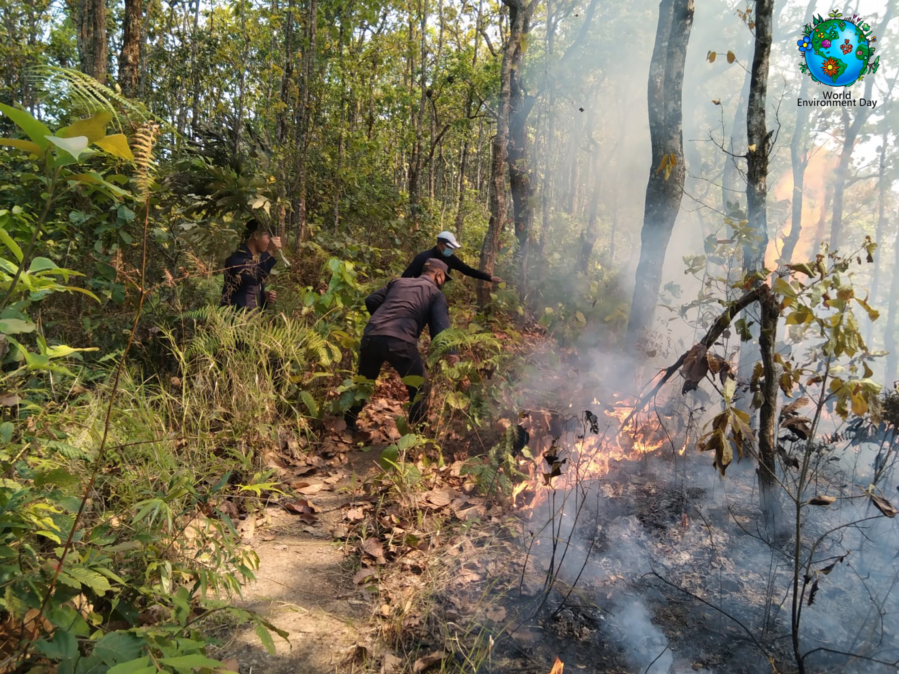 Wildfire NT