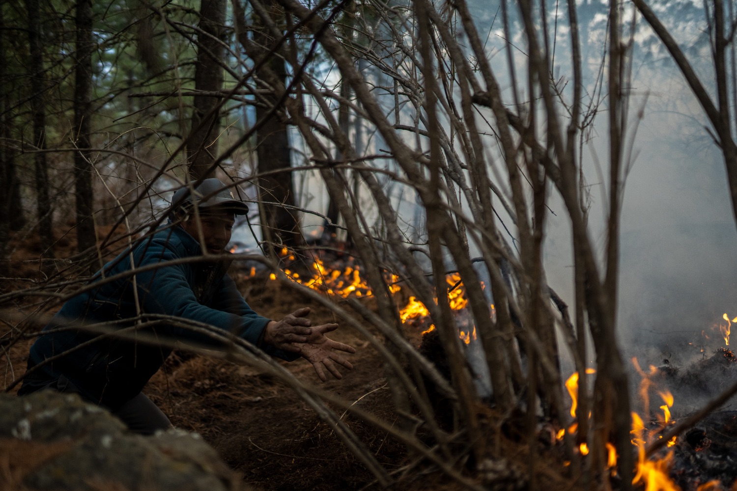 Wildfire NT