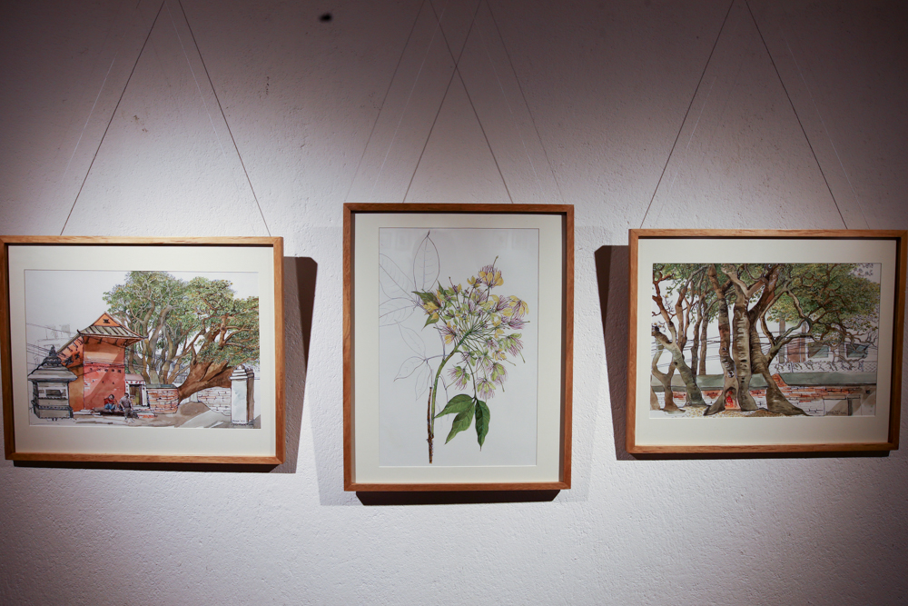 Façades and Flowers from Nepal and Italy NT