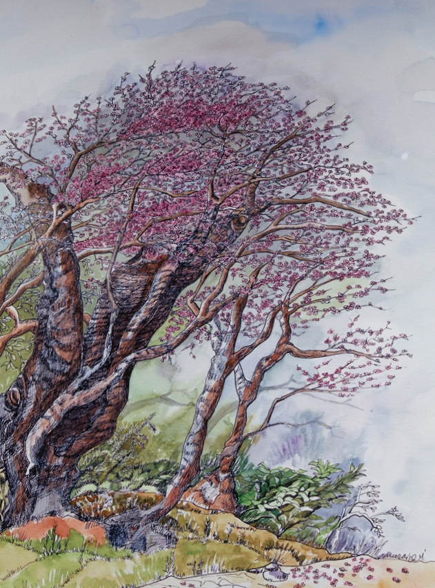 Façades and Flowers from Nepal and Italy NT