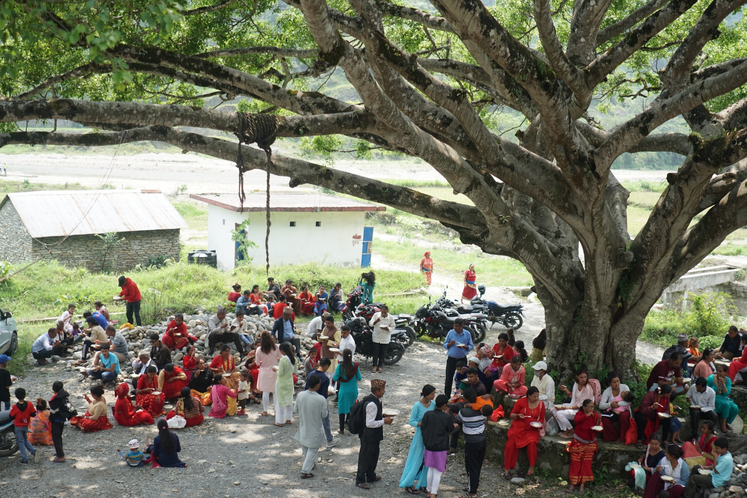 Trees of life and living NT