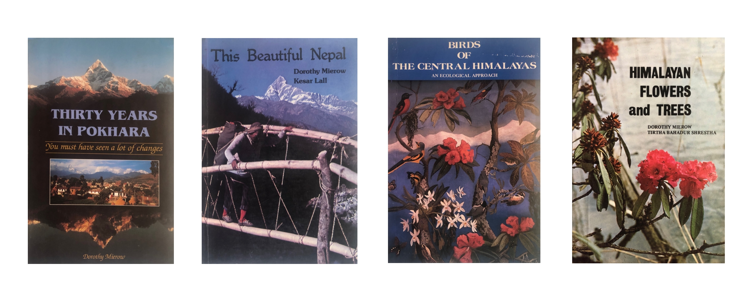 How the Peace Corps changed a volunteer's life