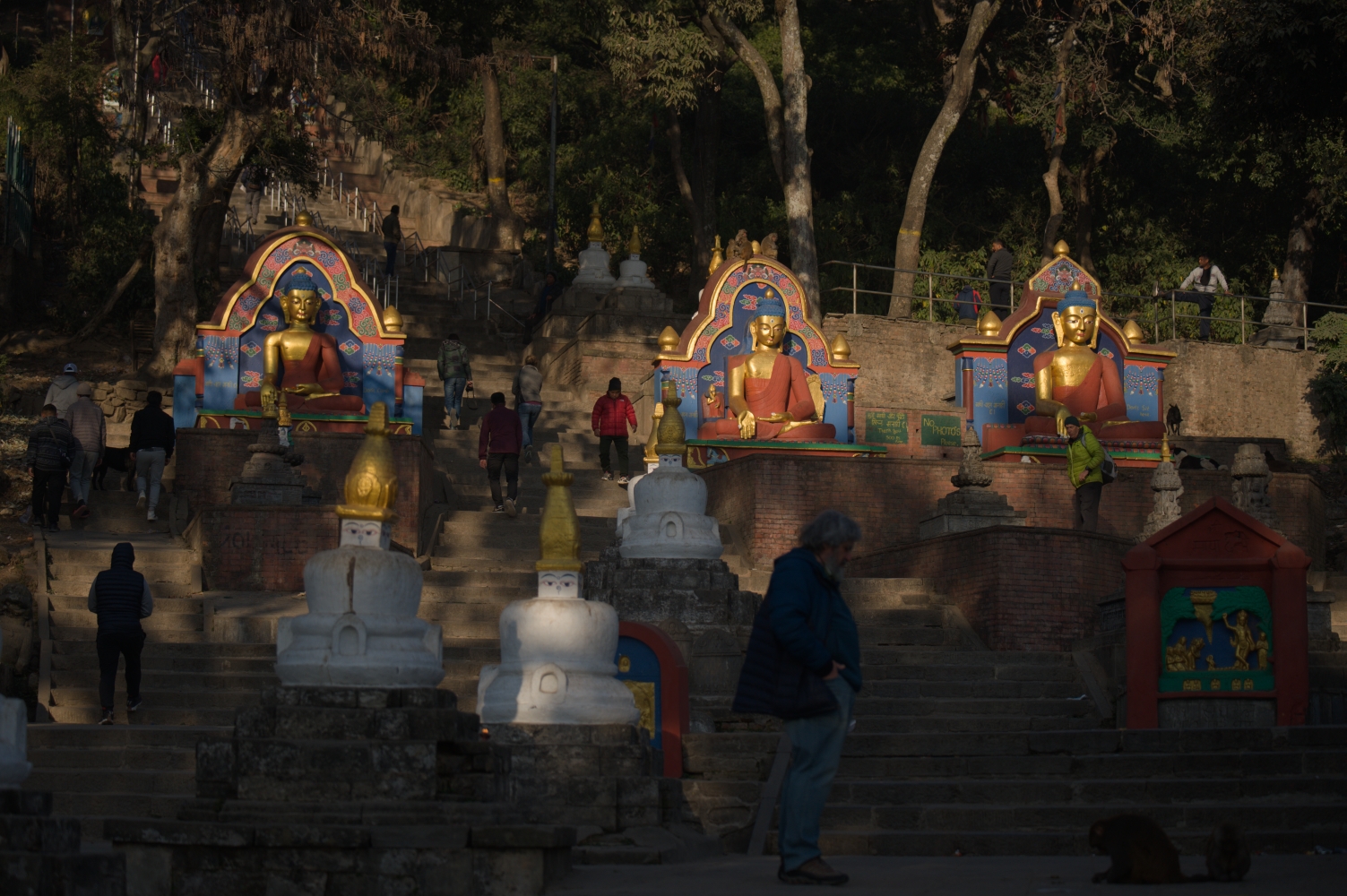 Alok SIddhi Tuladhar NT