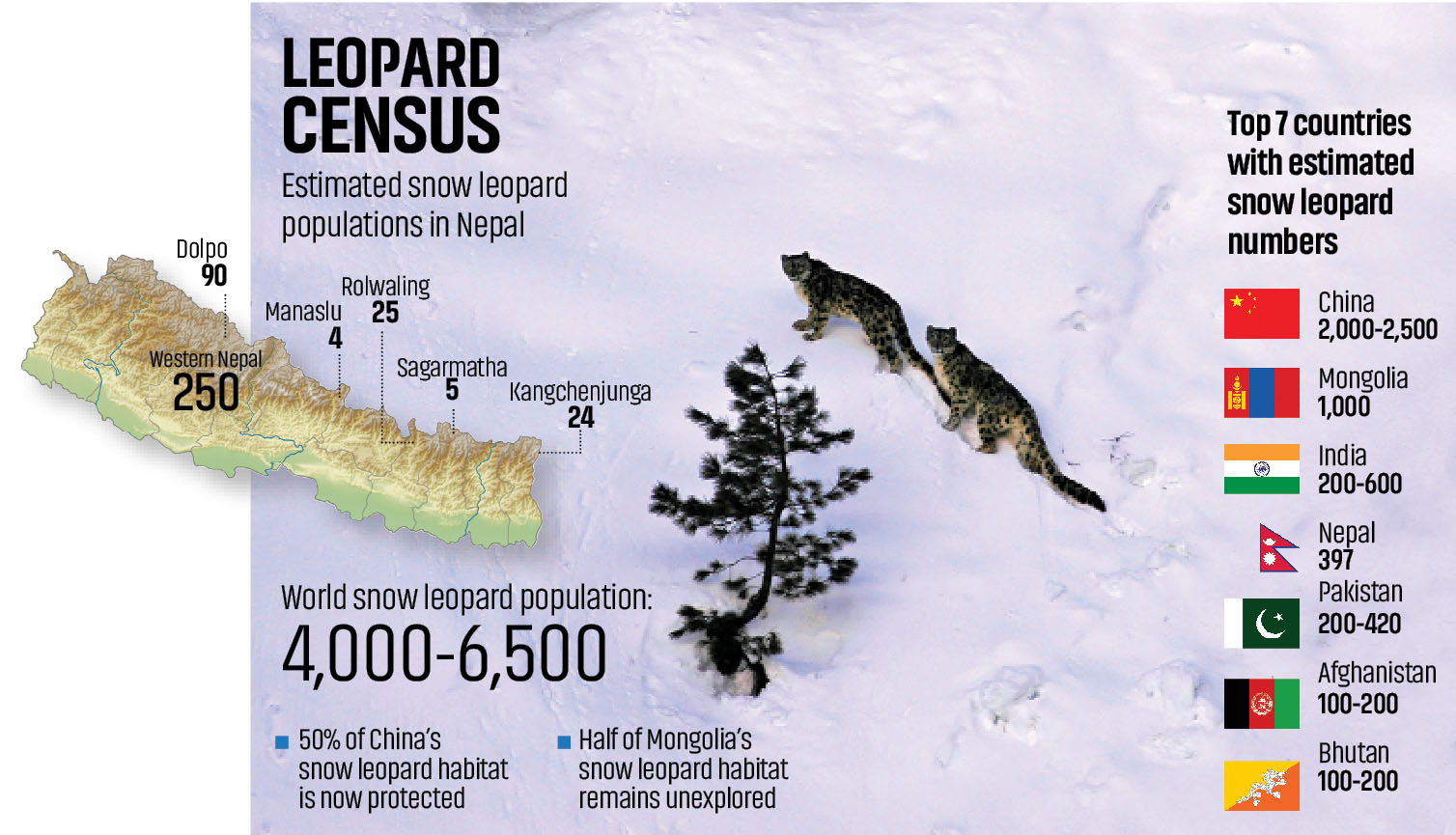 Snow Leopard map