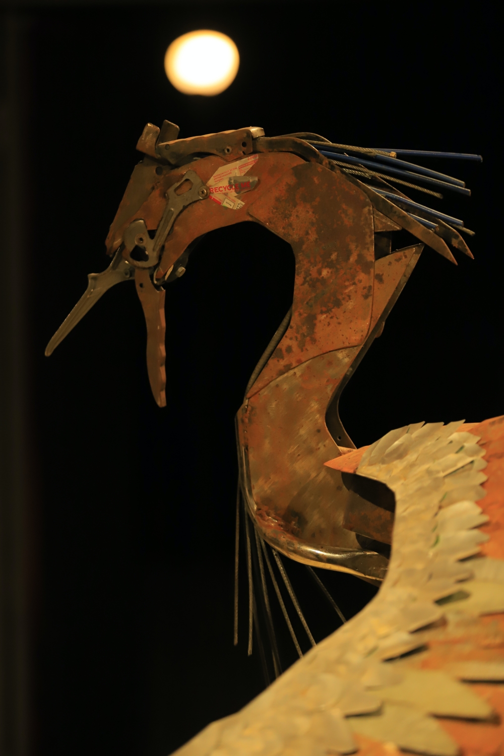 Saurab Koirala exhibition Taragaon Next NT