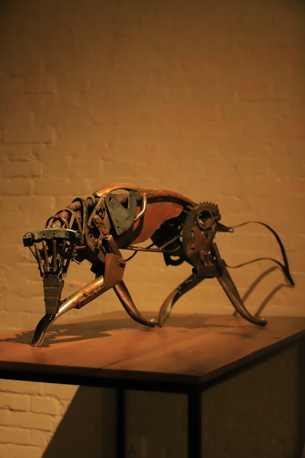 Saurab Koirala exhibition Taragaon Next NT