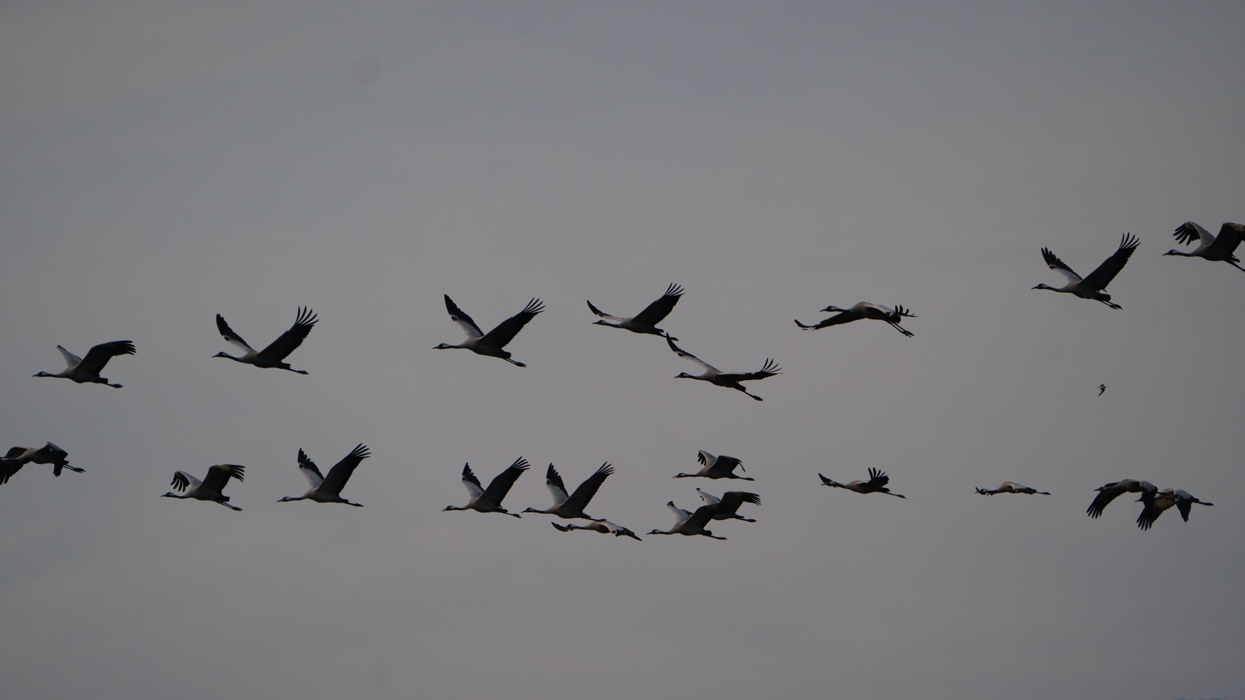Nepal's vanishing wetlands NT