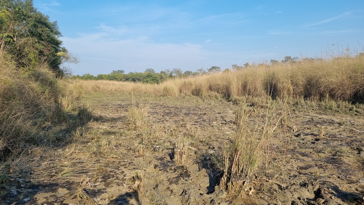 grassland and drying pond