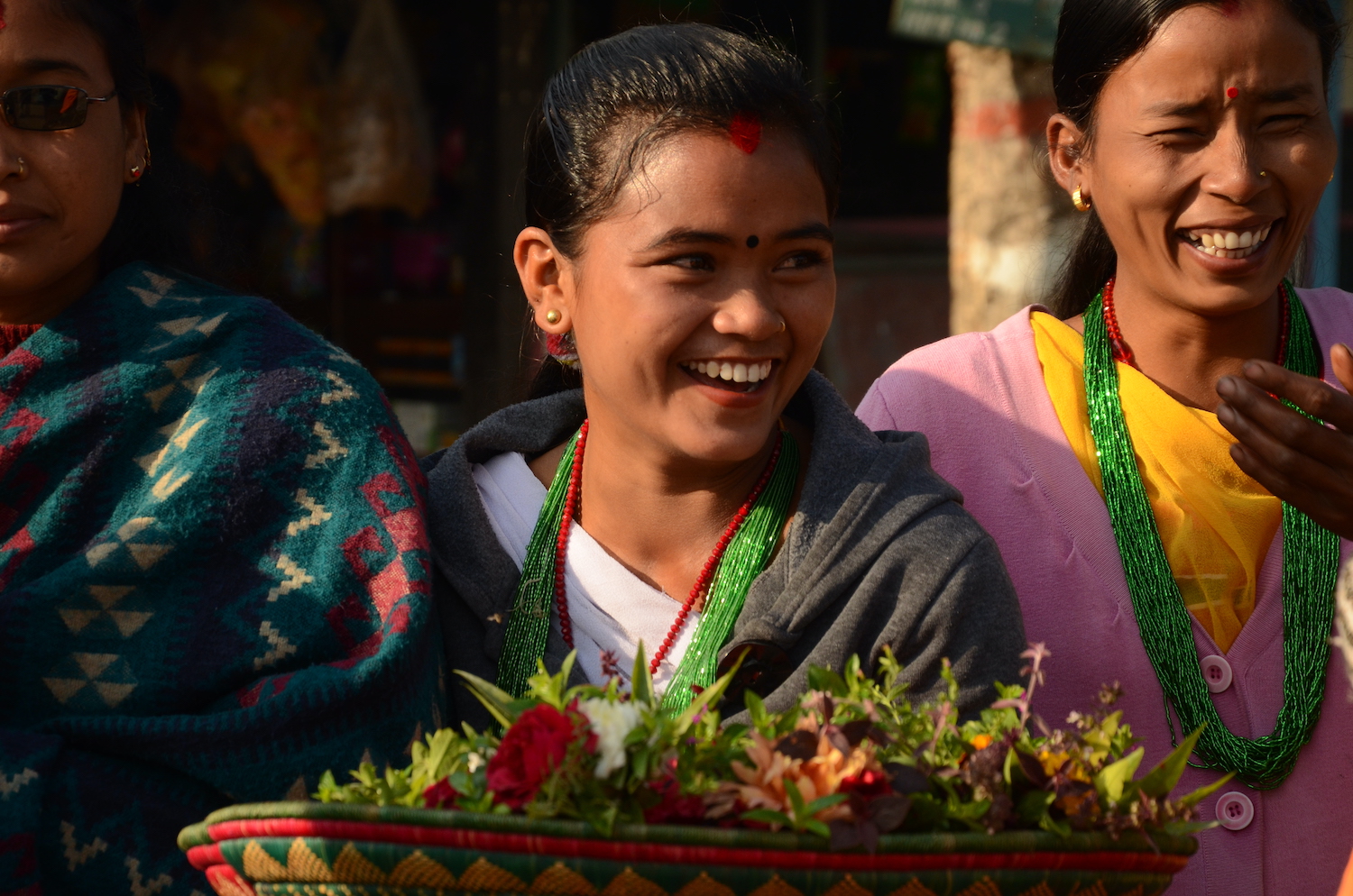 wildife conservation