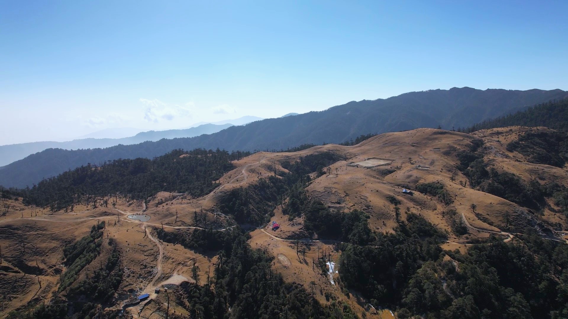 National Yak Day 2026