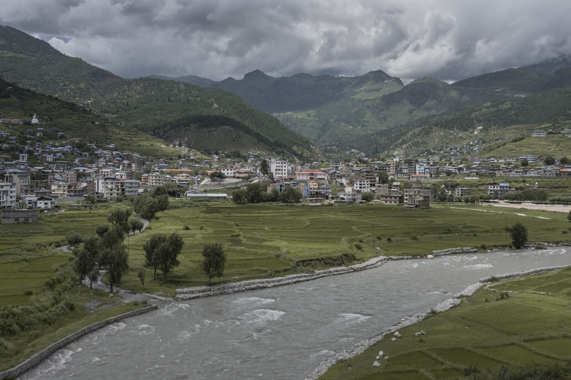 Mosquitos ascend to the base of Mt Everest NT