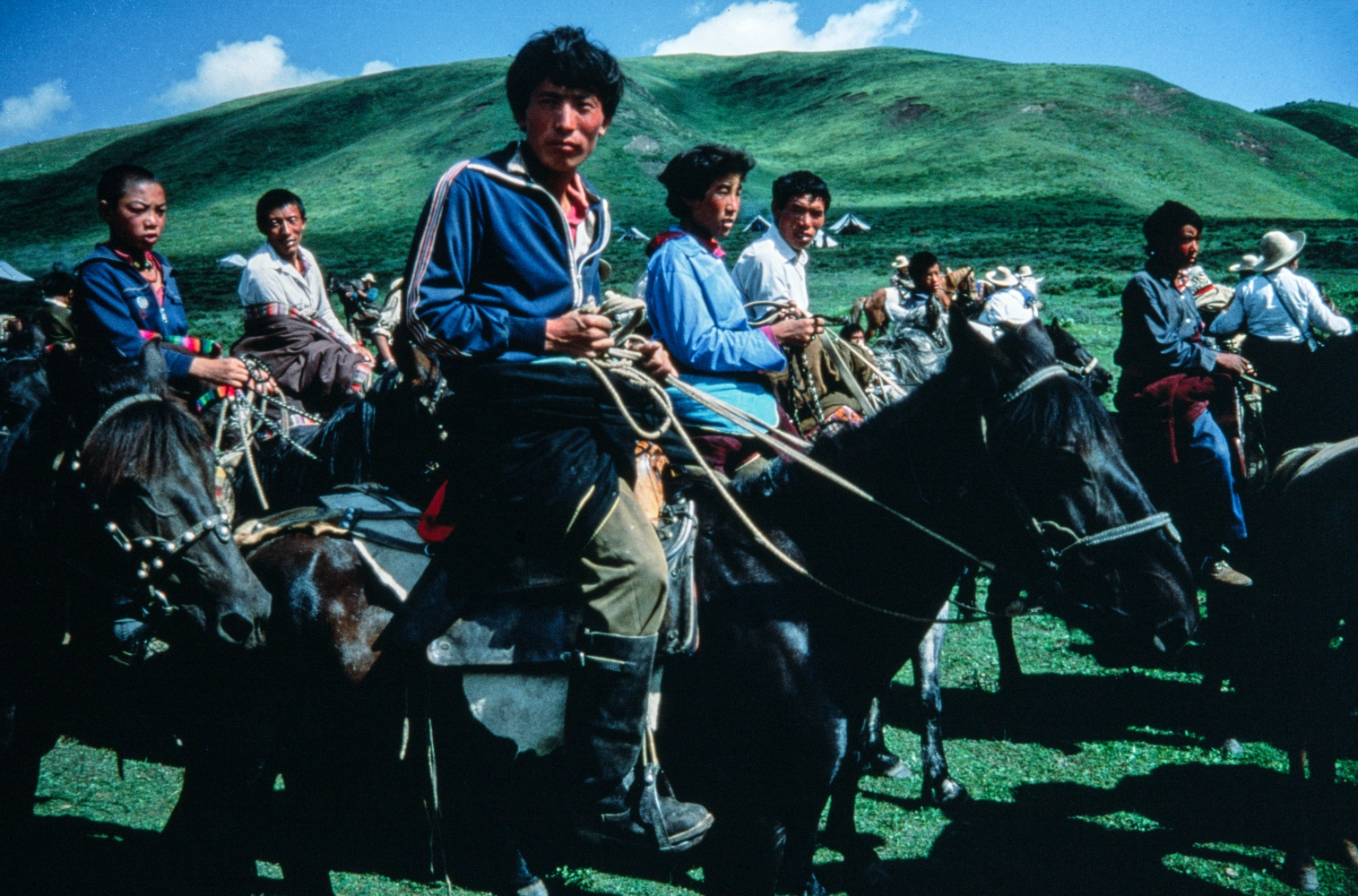 Rangelands of the Himalayan Range NT