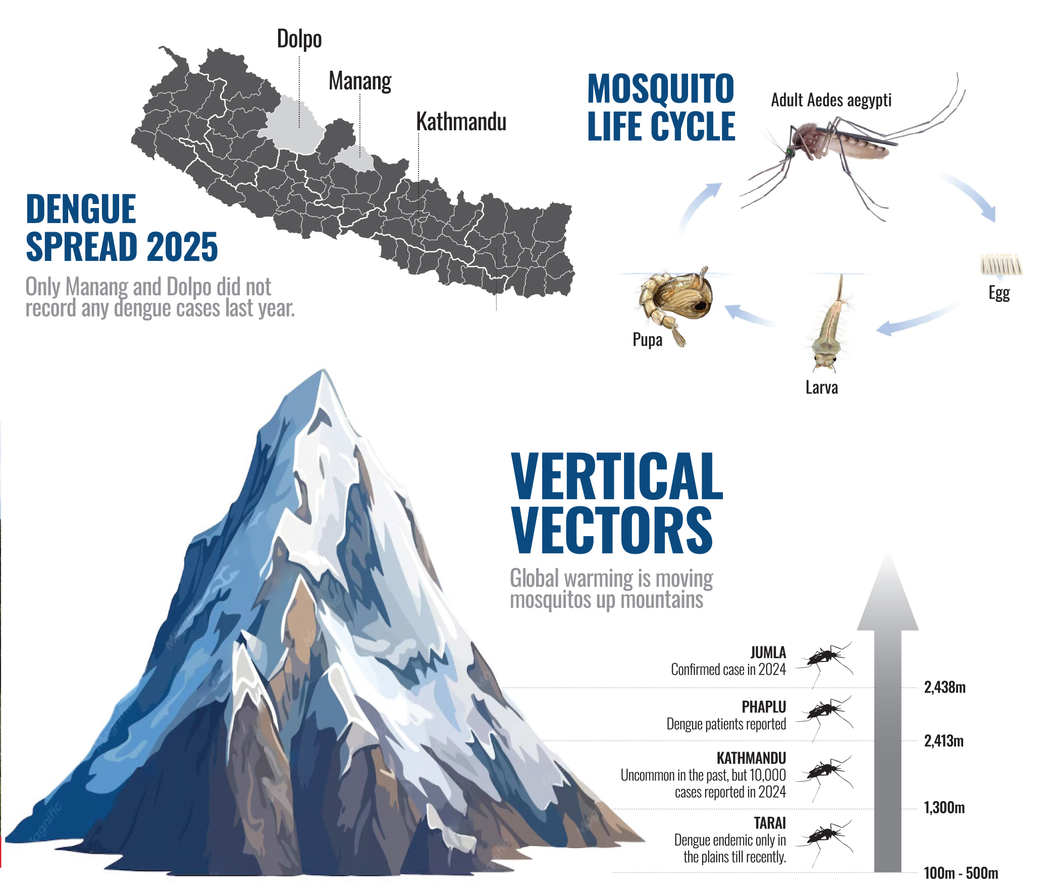 mosquitos climb up the mountains