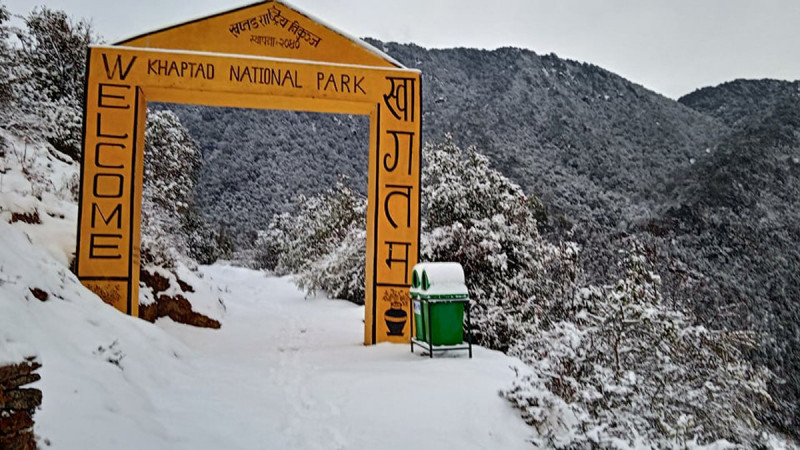 Snowfall at Ktaptad National Park