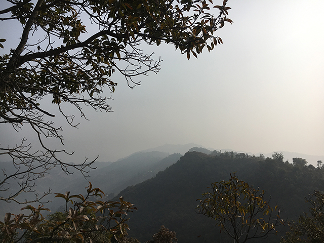 haze