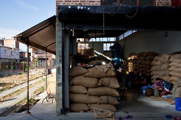 Royal Everest Coffee Mill in Thimi, Kathmandu. Pulped cherries from local coffee farms are brought to this facility for hulling, polishing, cleaning and, sorting and grading. 