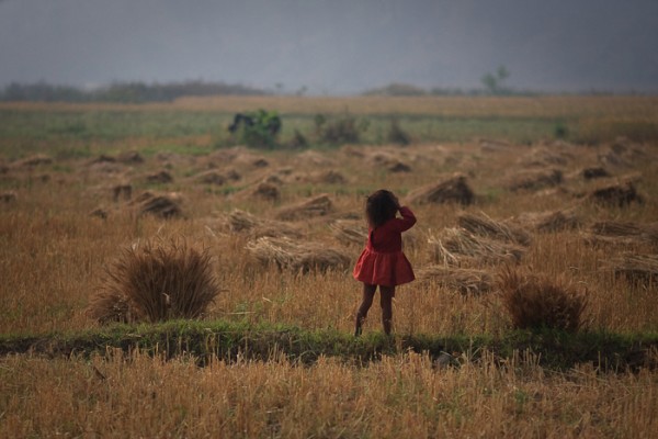 fcc_landless_03