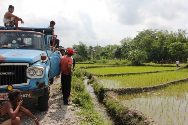 Trucks deployed to chase elephants away