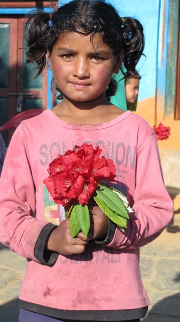A girl child holds a rhododendron to welcome visitors to the village of Domada in Dadeldhura. Female literacy is up to 50 per cent in a district where till recently only 10 per cent of girls went to school.