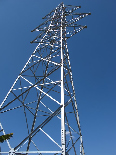 Pylons are being put up to bring 30MW of electricity from the Chameliya plant in Darchula which will be finished next year. The project has been delayed due to local extortion and threats.  