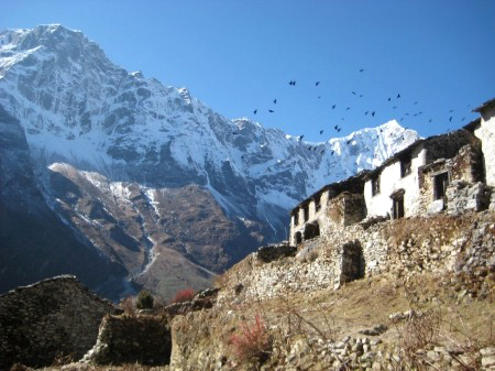 thamivillage1