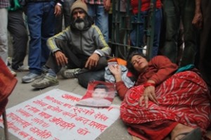 Dambar K Shrestha