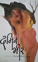 Damini Bhir Damini Bhir